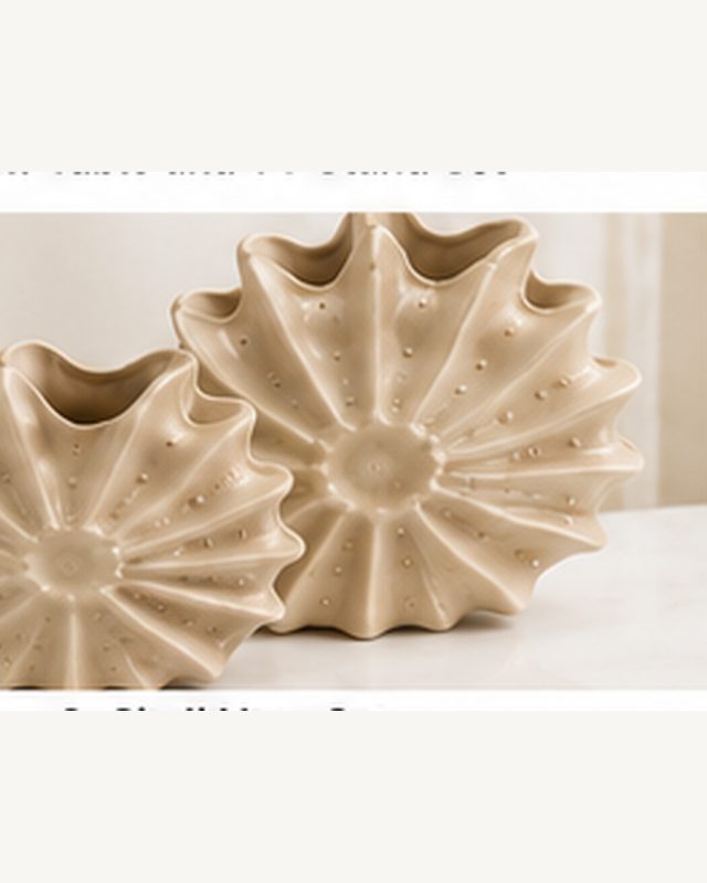 Shell Vase Set